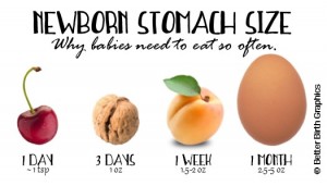 stomach-size
