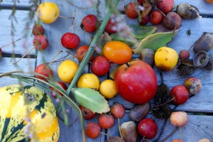 More Fruit, Smarter Babies?
