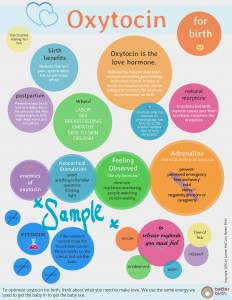 Oxytocin Handout for Birth