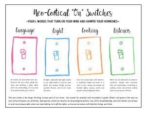 neo-corticalONswitches